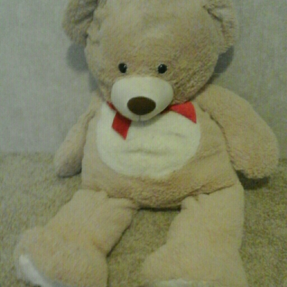 Baer